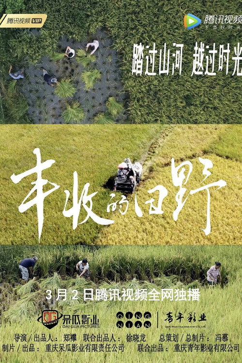 丰收的田野 (2022) {tmdb-287340}