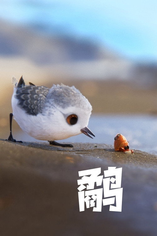 鹬 (2016) {tmdb-399106}