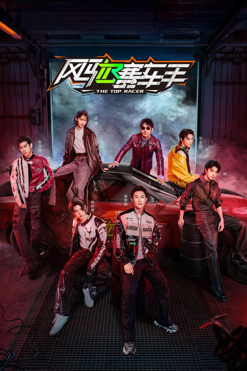 车手 (2012) {tmdb-117506}