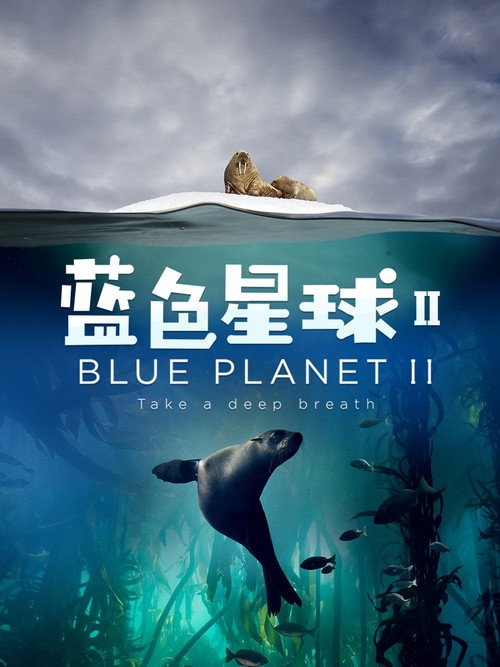 蓝色星球 2 (2017) {tmdb-74313}