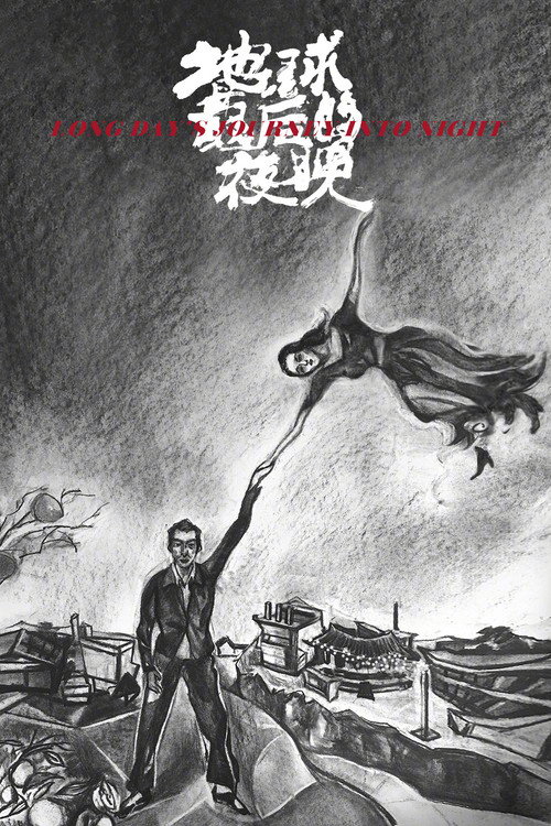 地球的夜晚 (2020)